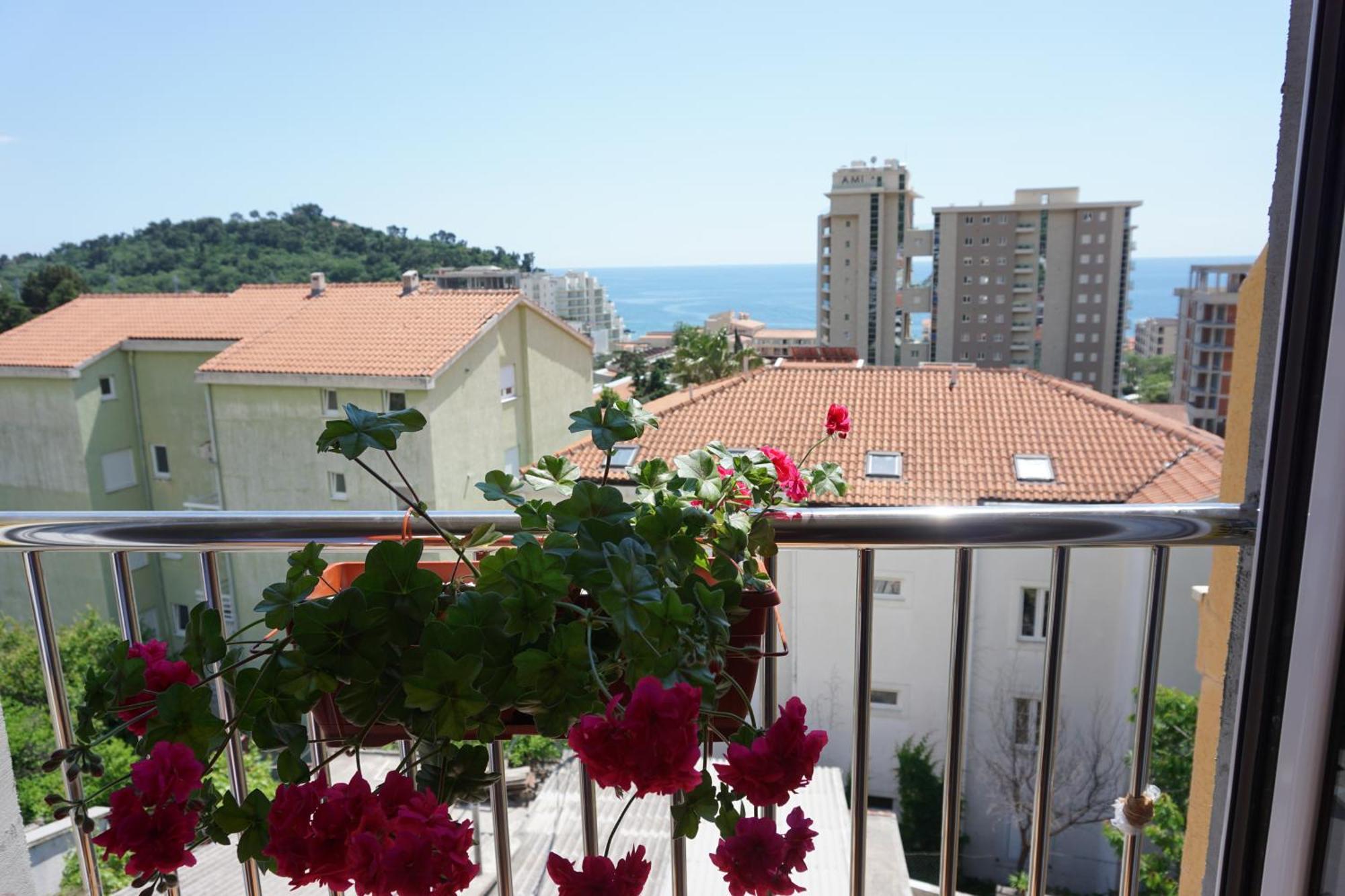 Vila Lena Petrovac na moru Zimmer foto